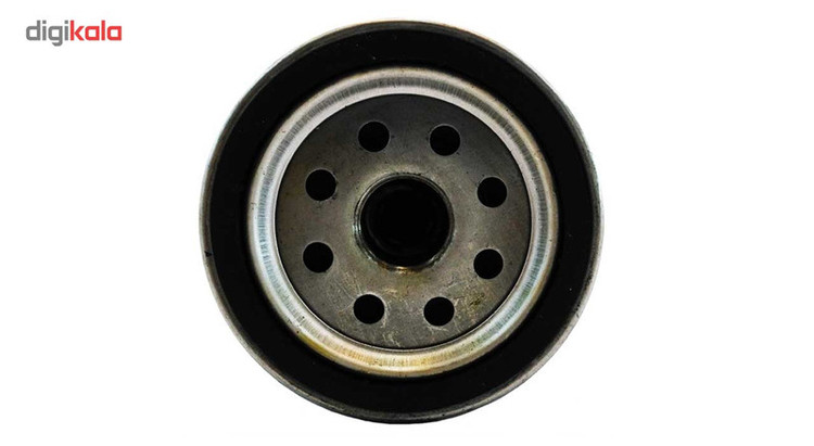 فیلتر روغن خودروی کاسپین مدل FW-815 مناسب برای پژو 405