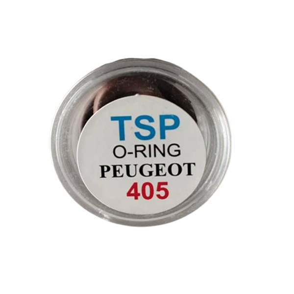 اورینگ سوزن تی اس پی ساژم مدل S 222 مناسب براي پژو 405 و سمند مجموعه ای 8 عددی